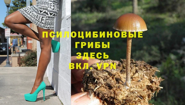2c-b Алексин