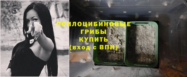 сатива Алзамай