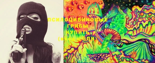 сатива Алзамай