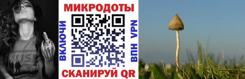 Псилоцибиновые грибы ЛСД  Гаврилов Посад 